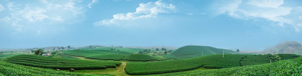 Named thăm Trung tâm chữa bệnh -GD- LĐXH số 2 tỉnh Hoà Bình